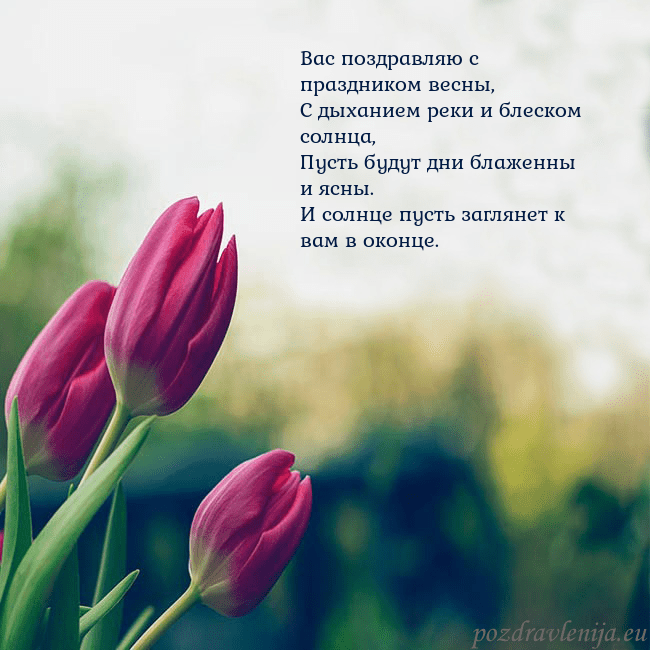 Открытка с тремя красными тюльпанами Вас поздравляю с праздником весны,
С дыханием реки Открытка с тремя красными тюльпанами