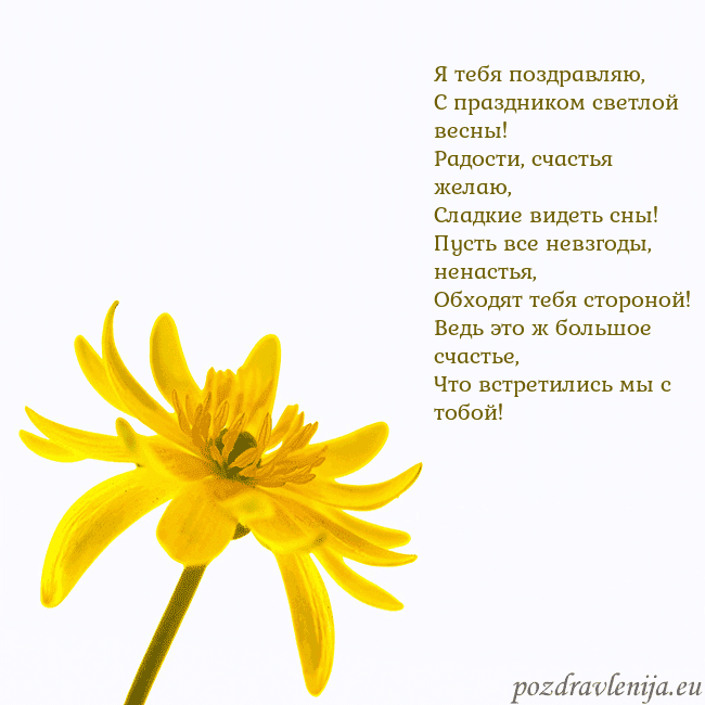 Открытка с желтым цветком Я тебя поздравляю,
С праздником светлой весны!
Рад Открытка с желтым цветком