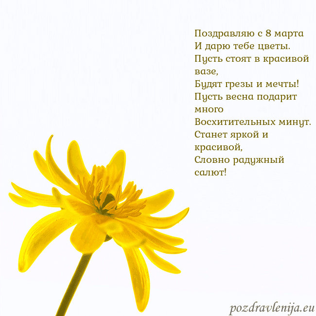 Открытка с желтым цветком Поздравляю с 8 марта
И дарю тебе цветы.
Пусть стоя Открытка с желтым цветком