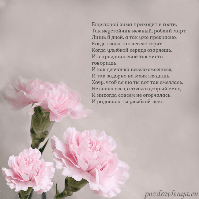 Открытка с розовыми гвоздиками Еще порой зима приходит в гости,
Так неустойчив не Открытка с розовыми гвоздиками