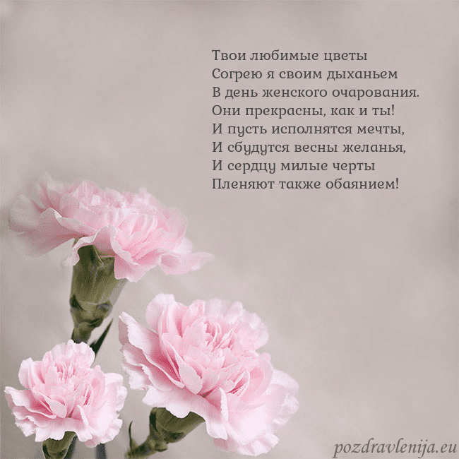 Открытка с розовыми гвоздиками Твои любимые цветы
Согрею я своим дыханьем
В день Открытка с розовыми гвоздиками