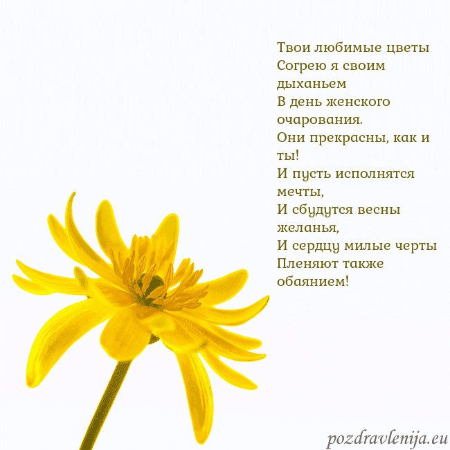 Открытка с желтым цветком Твои любимые цветы
Согрею я своим дыханьем
В день Открытка с желтым цветком