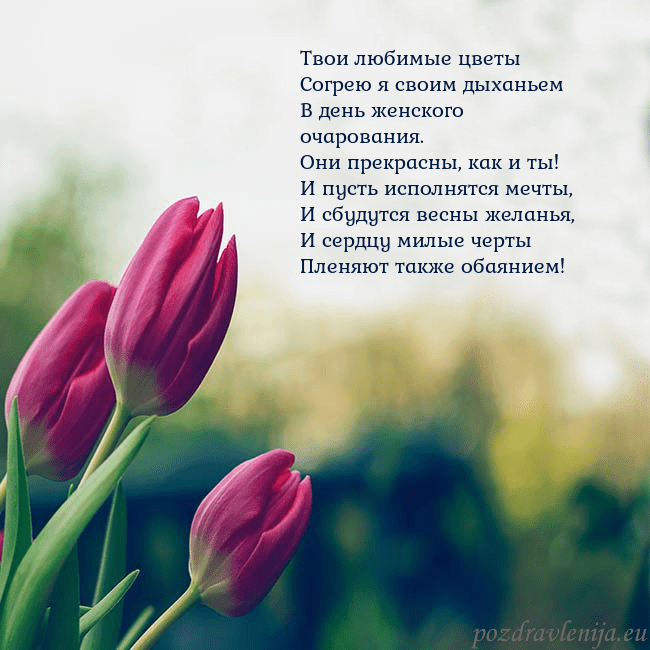 Открытка с тремя красными тюльпанами Твои любимые цветы
Согрею я своим дыханьем
В день Открытка с тремя красными тюльпанами