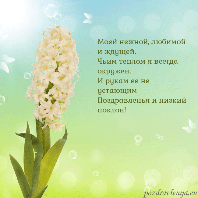 Открытка с гиацинтом Моей нежной, любимой и ждущей,
Чьим теплом я всегд Открытка с гиацинтом