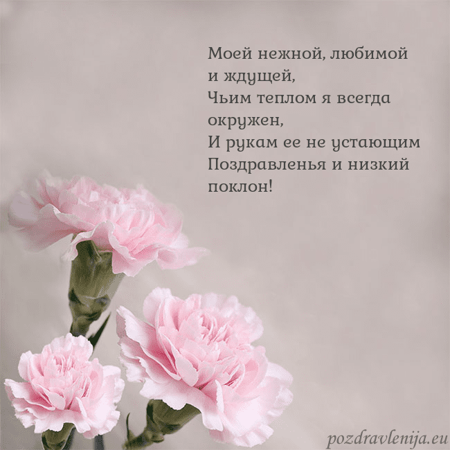Открытка с розовыми гвоздиками Моей нежной, любимой и ждущей,
Чьим теплом я всегд Открытка с розовыми гвоздиками