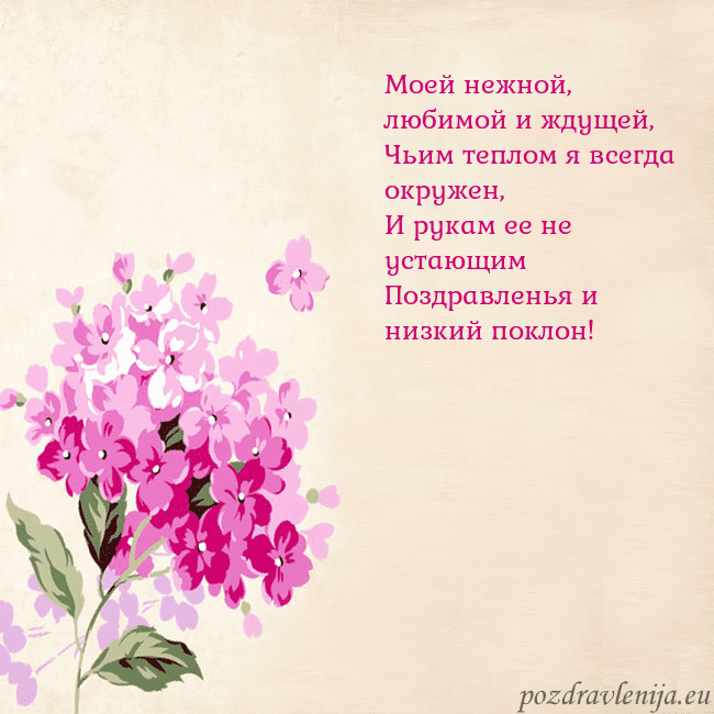 Открытка с гортензией Моей нежной, любимой и ждущей,
Чьим теплом я всегд Открытка с гортензией