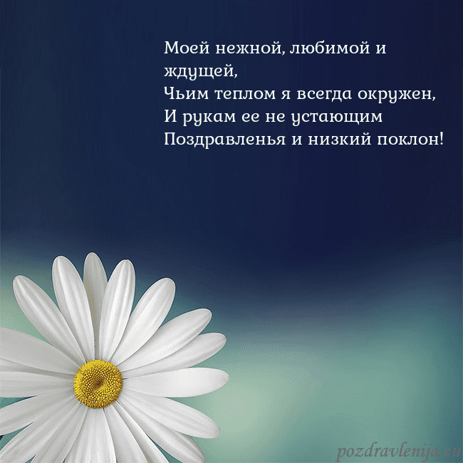 Открытка с большой ромашкой Моей нежной, любимой и ждущей,
Чьим теплом я всегд Открытка с большой ромашкой