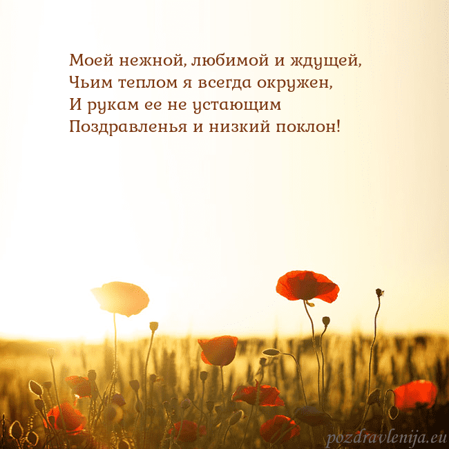 Электронная открытка с полем маков Моей нежной, любимой и ждущей,
Чьим теплом я всегд Электронная открытка с полем маков