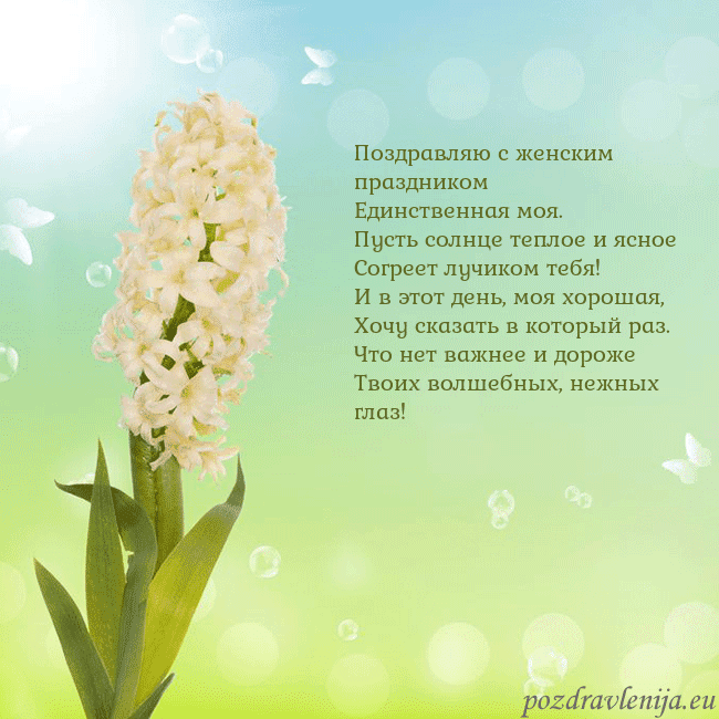 Открытка с гиацинтом Поздравляю с женским праздником
Единственная моя.
Открытка с гиацинтом