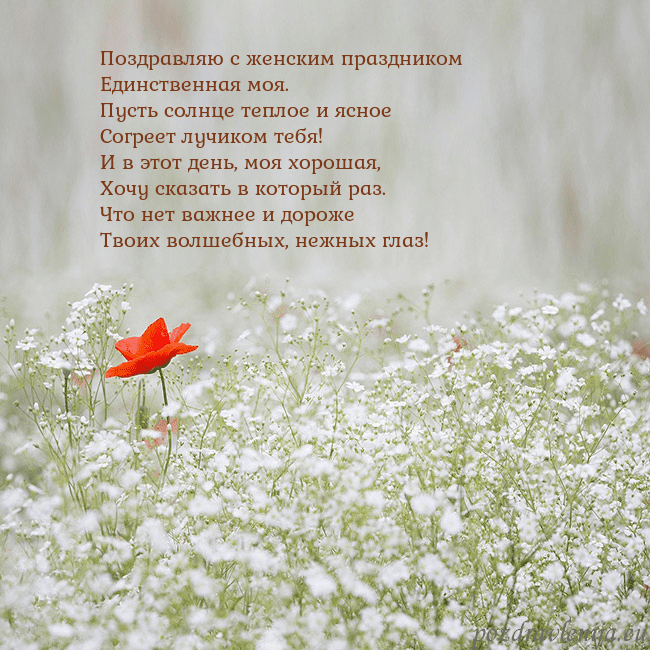Электронная открытка с белыми цветами Поздравляю с женским праздником
Единственная моя.
Электронная открытка с белыми цветами