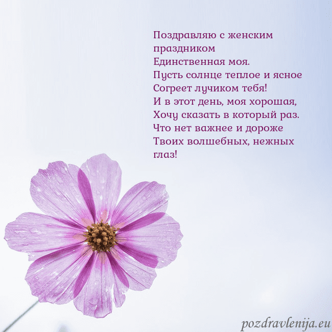 Электронная открытка с фиолетовым цветком Поздравляю с женским праздником
Единственная моя.
Электронная открытка с фиолетовым цветком