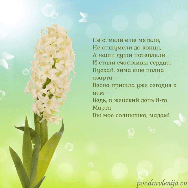 Открытка с гиацинтом Не отмели еще метели,
Не отшумели до конца,
А наши Открытка с гиацинтом