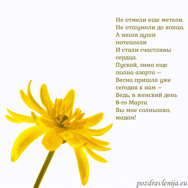 Открытка с желтым цветком Не отмели еще метели,
Не отшумели до конца,
А наши Открытка с желтым цветком