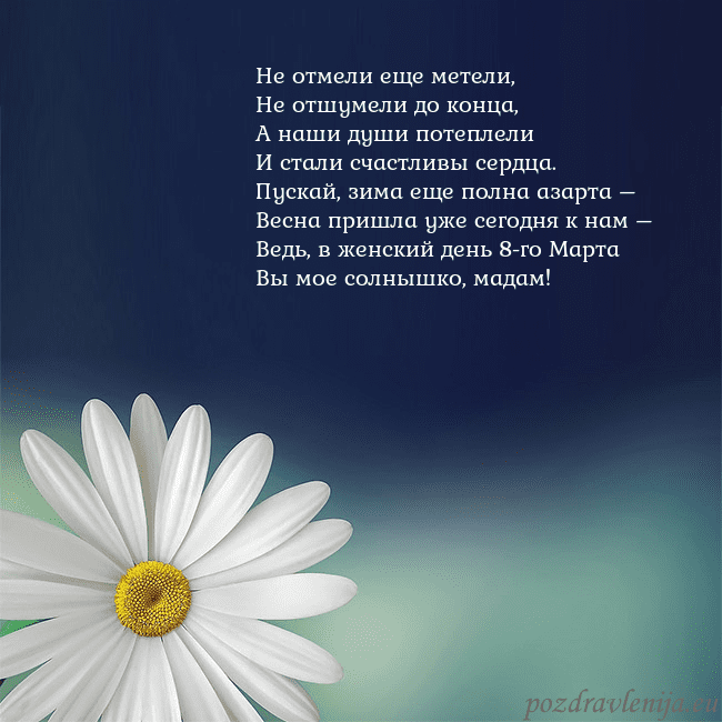 Открытка с большой ромашкой