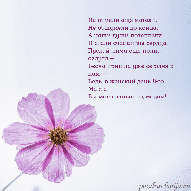 Электронная открытка с фиолетовым цветком Не отмели еще метели,
Не отшумели до конца,
А наши Электронная открытка с фиолетовым цветком