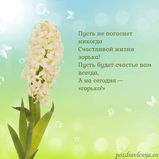 Открытка с гиацинтом Пусть не погаснет никогда
Счастливой жизни зорька! Открытка с гиацинтом