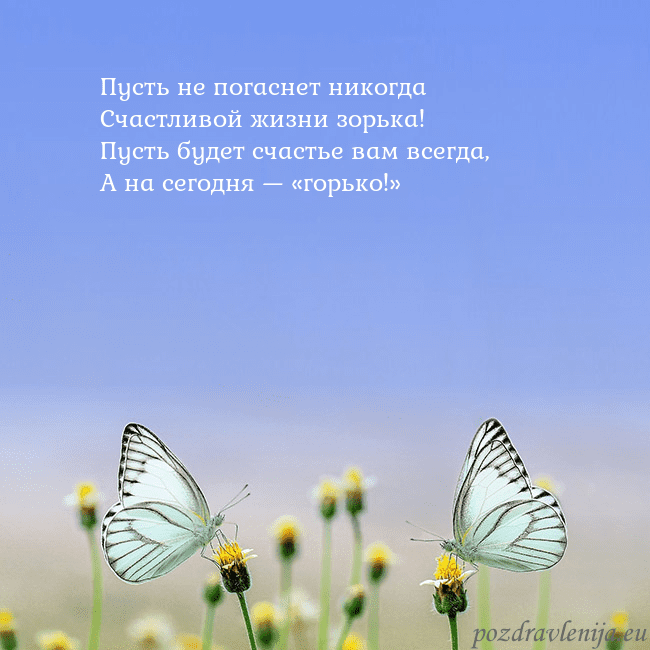 Свадебная открытка с двумя бабочками Пусть не погаснет никогда
Счастливой жизни зорька! Свадебная открытка с двумя бабочками
