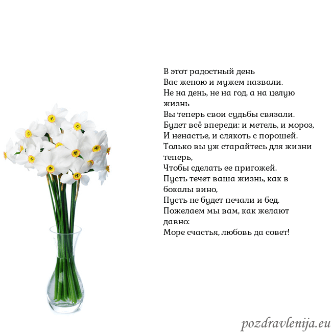 Открытка с нарциссами В этот радостный день
Вас женою и мужем назвали.
Н Открытка с нарциссами