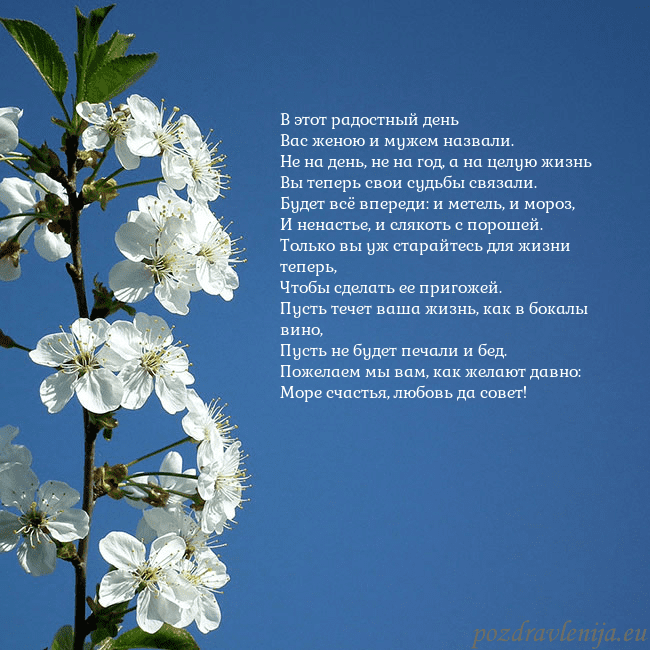 Открытка с весенними цветами В этот радостный день
Вас женою и мужем назвали.
Н Открытка с весенними цветами