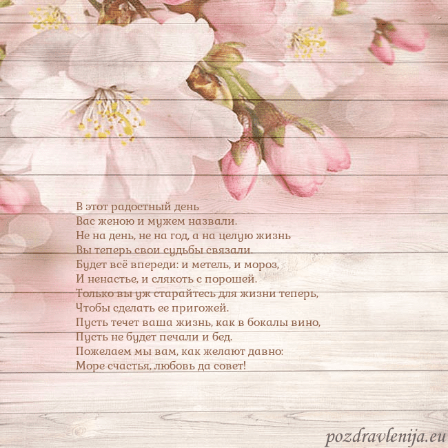 Открытка с цветами яблони В этот радостный день
Вас женою и мужем назвали.
Н Открытка с цветами яблони