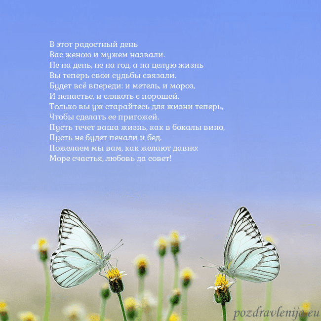 Свадебная открытка с двумя бабочками В этот радостный день
Вас женою и мужем назвали.
Н Свадебная открытка с двумя бабочками
