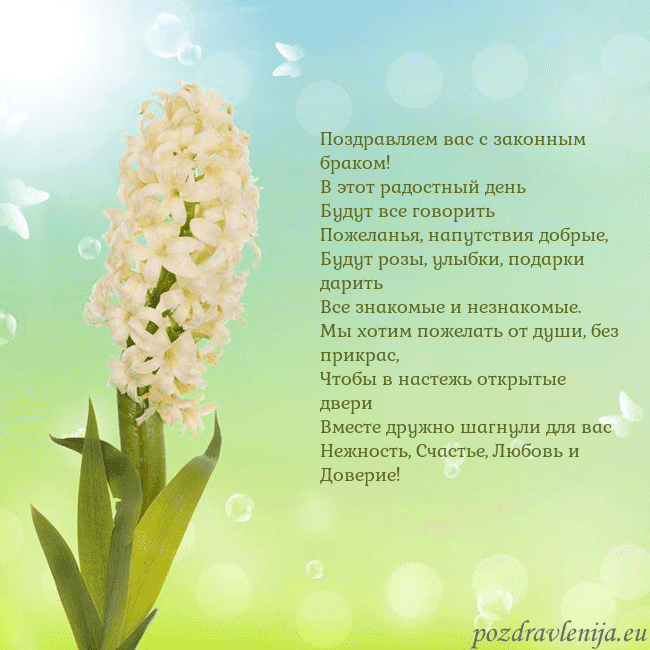 Открытка с гиацинтом Поздравляем вас с законным браком!
В этот радостны Открытка с гиацинтом