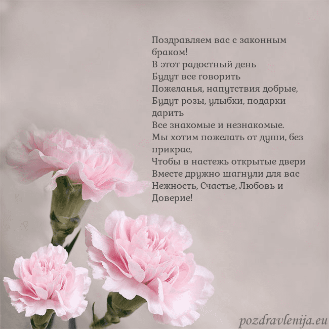 Открытка с розовыми гвоздиками Поздравляем вас с законным браком!
В этот радостны Открытка с розовыми гвоздиками