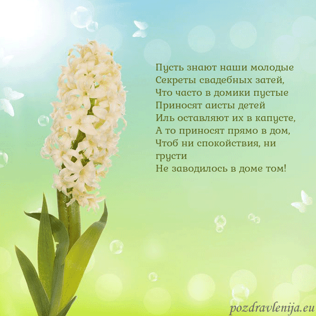 Открытка с гиацинтом Пусть знают наши молодые
Секреты свадебных затей,
Открытка с гиацинтом