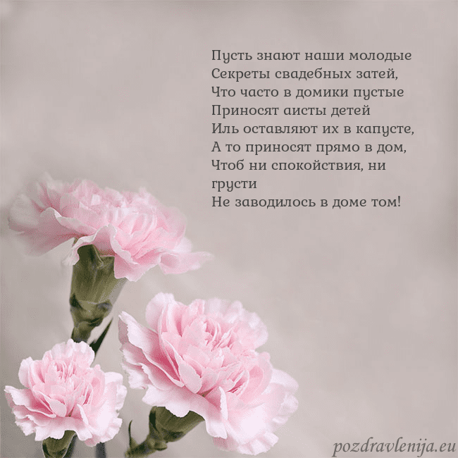 Открытка с розовыми гвоздиками Пусть знают наши молодые
Секреты свадебных затей,
Открытка с розовыми гвоздиками