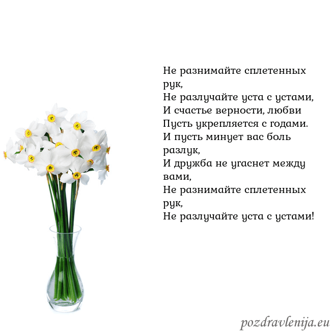Открытка с нарциссами Не разнимайте сплетенных рук,
Не разлучайте уста с Открытка с нарциссами