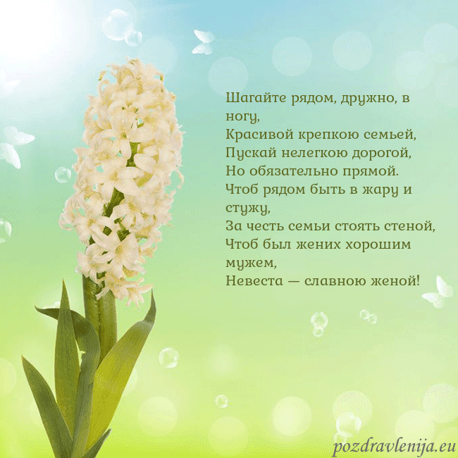 Открытка с гиацинтом Шагайте рядом, дружно, в ногу,
Красивой крепкою се Открытка с гиацинтом