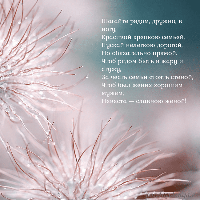 Открытка с пушистыми растениями Шагайте рядом, дружно, в ногу,
Красивой крепкою се Открытка с пушистыми растениями
