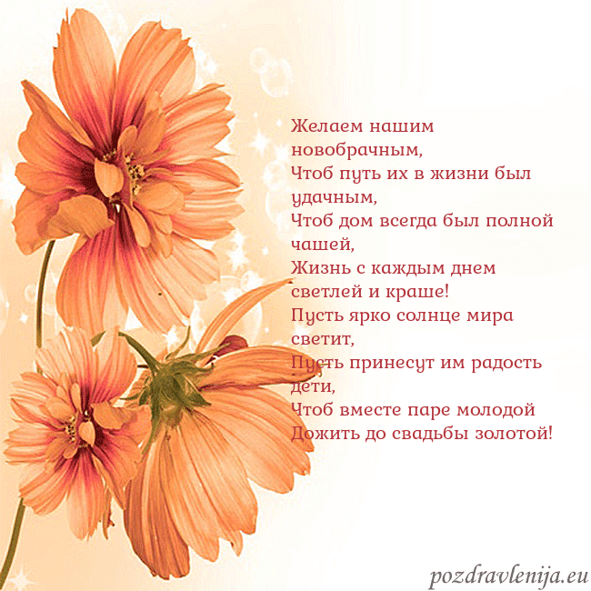 Открытка с оранжевыми цветами Желаем нашим новобрачным,
Чтоб путь их в жизни был Открытка с оранжевыми цветами