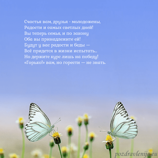 Свадебная открытка с двумя бабочками Счастья вам, друзья - молодожены,
Радости и самых Свадебная открытка с двумя бабочками