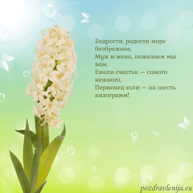 Открытка с гиацинтом Бодрости, радости море безбрежное,
Муж и жена, пож Открытка с гиацинтом