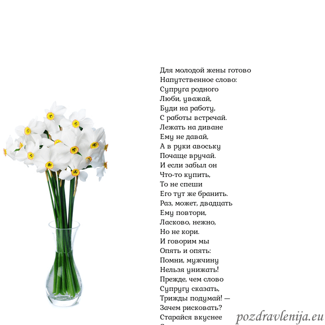 Открытка с нарциссами Для молодой жены готово
Напутственное слово:
Супру Открытка с нарциссами