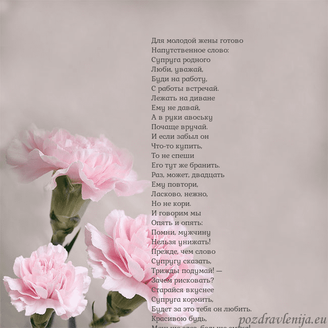 Открытка с розовыми гвоздиками Для молодой жены готово
Напутственное слово:
Супру Открытка с розовыми гвоздиками