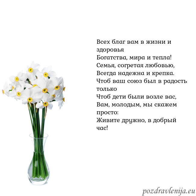 Открытка с нарциссами Всех благ вам в жизни и здоровья
Богатства, мира и Открытка с нарциссами