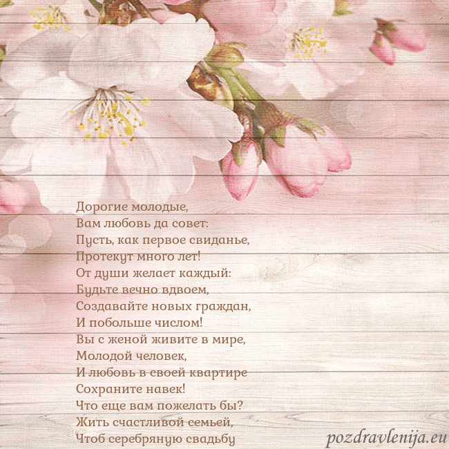 Открытка с цветами яблони Дорогие молодые,
Вам любовь да совет:
Пусть, как п Открытка с цветами яблони