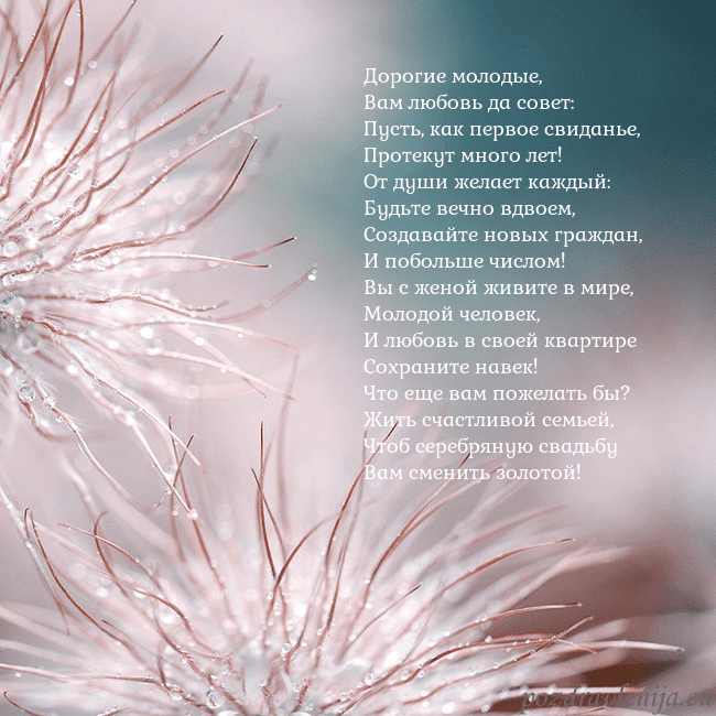 Открытка с пушистыми растениями Дорогие молодые,
Вам любовь да совет:
Пусть, как п Открытка с пушистыми растениями
