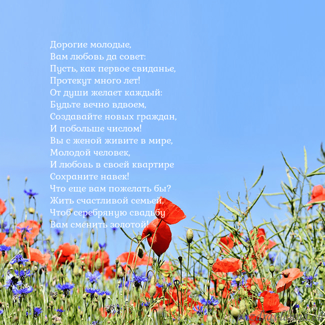 Открытка с маками Дорогие молодые,
Вам любовь да совет:
Пусть, как п Открытка с маками