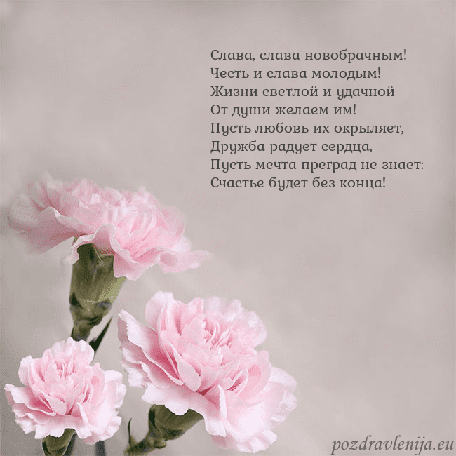 Открытка с розовыми гвоздиками Слава, слава новобрачным!
Честь и слава молодым!
Ж Открытка с розовыми гвоздиками