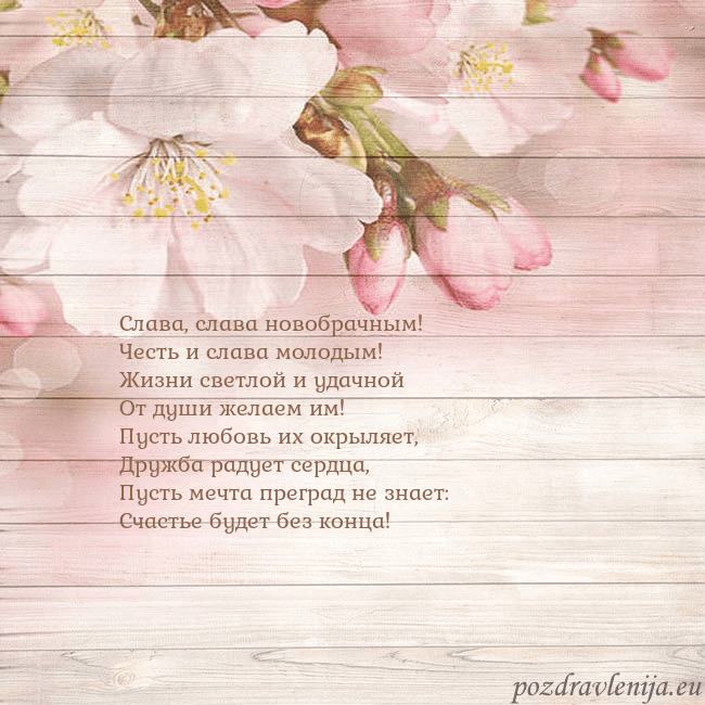 Открытка с цветами яблони Слава, слава новобрачным!
Честь и слава молодым!
Ж Открытка с цветами яблони