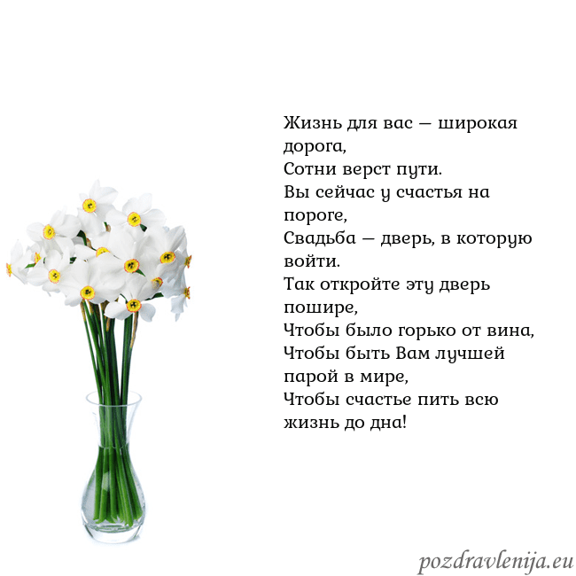 Открытка с нарциссами Жизнь для вас – широкая дорога,
Сотни верст пути.
Открытка с нарциссами