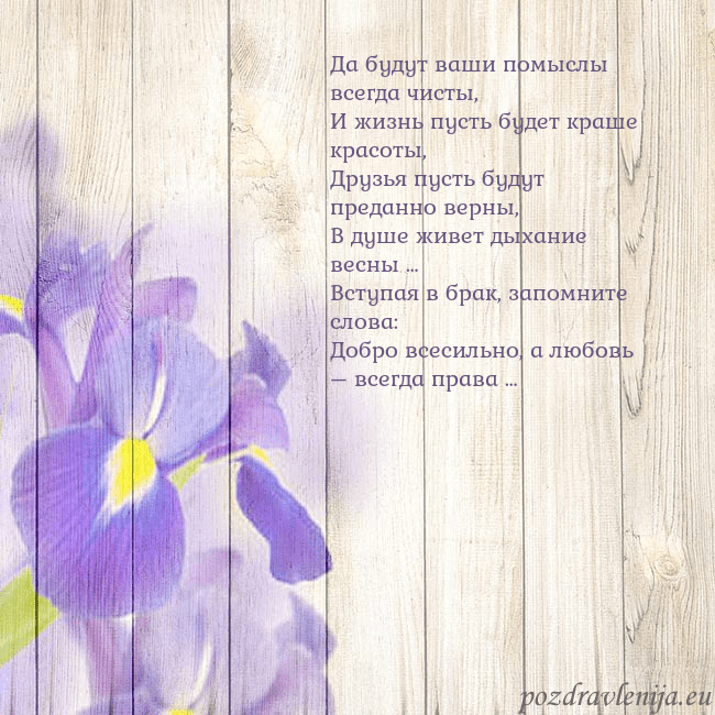 Открытка с ирисами Да будут ваши помыслы всегда чисты,
И жизнь пусть Открытка с ирисами