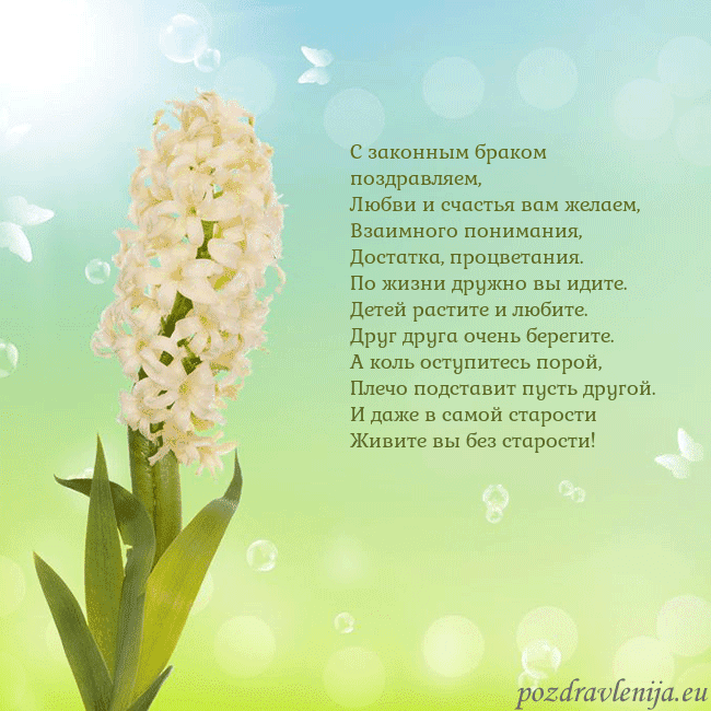 Открытка с гиацинтом С законным браком поздравляем,
Любви и счастья вам Открытка с гиацинтом