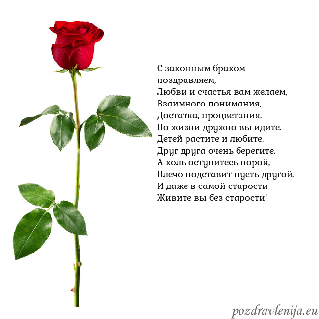 Открытка с красной розой С законным браком поздравляем,
Любви и счастья вам Открытка с красной розой