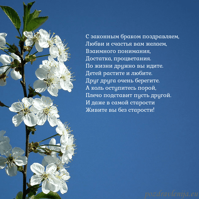 Открытка с весенними цветами С законным браком поздравляем,
Любви и счастья вам Открытка с весенними цветами