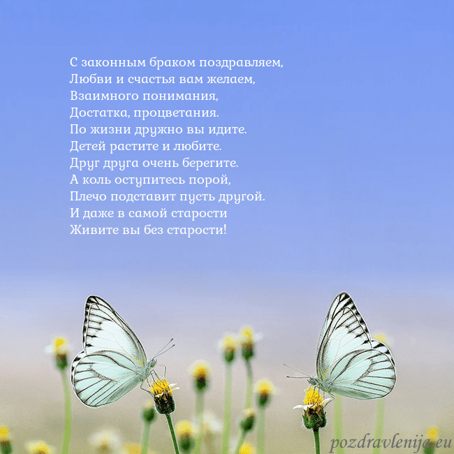 Свадебная открытка с двумя бабочками