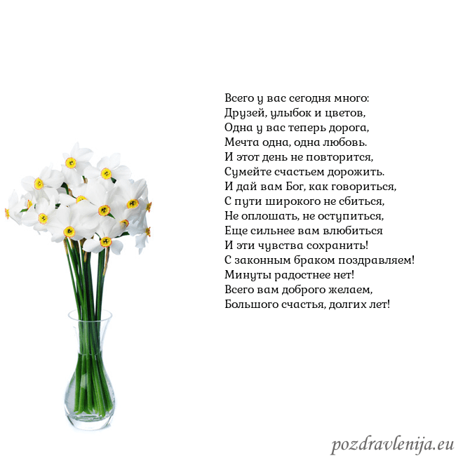 Открытка с нарциссами Всего у вас сегодня много:
Друзей, улыбок и цветов Открытка с нарциссами